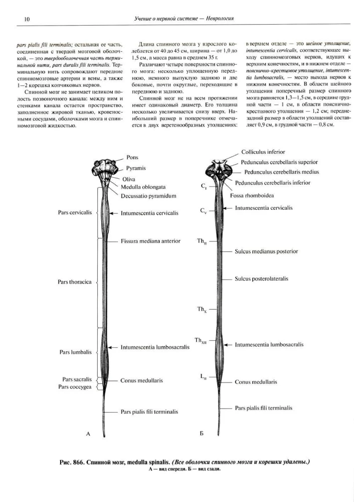 Inimese anatoomia atlas. Köide 3. Neuroloogia. Esteesiaoloogia